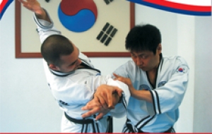 Szkolenie dla służb mundurowych - Mistrzowie z Korei