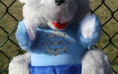 photo_16