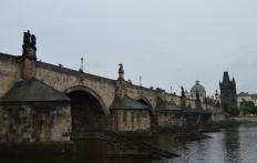 photo_8