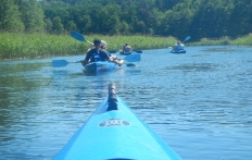 photo_6