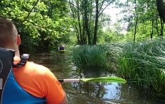 photo_1