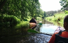 photo_3