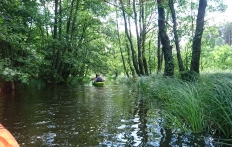 photo_4