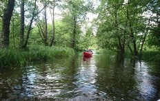 photo_5