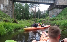photo_8