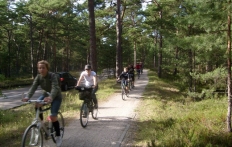 photo_12