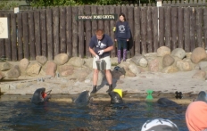 photo_13