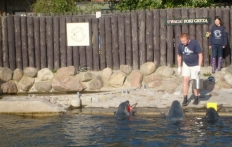 photo_1