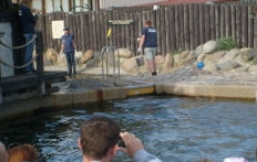 photo_2