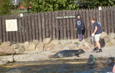 photo_3