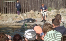 photo_4