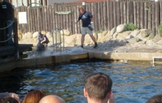 photo_6