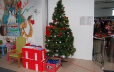 photo_6