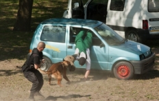 photo_3