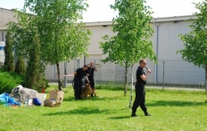 photo_15
