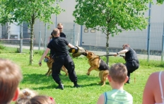 photo_16