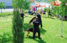 photo_9