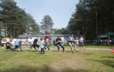 photo_2