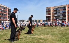 STAROGARD GDAŃSKI - FESTYN Z OKAZJI DNIA DZIECKA_3