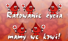 Koordynator HDK